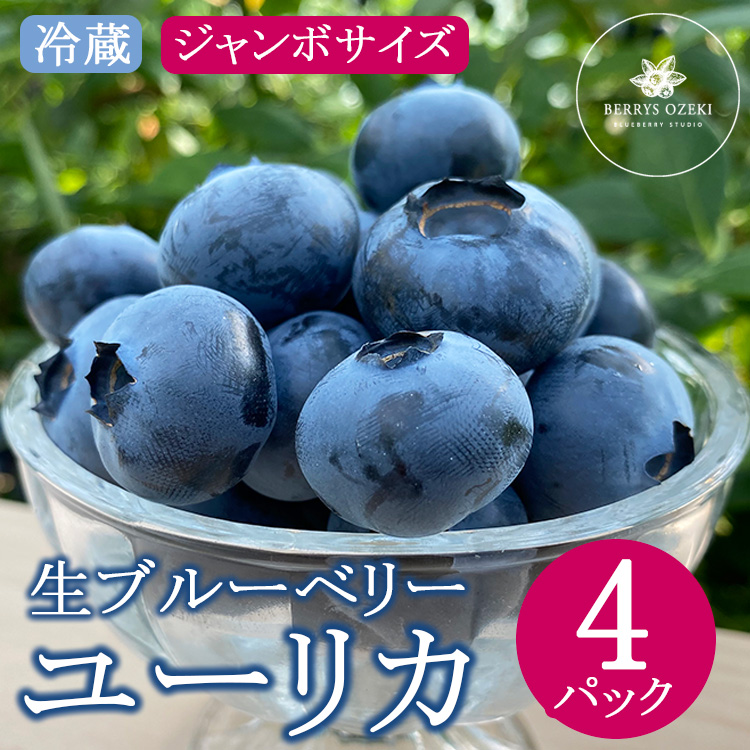 ユーリカ ブルーベリー 大粒 ジャンボサイズ 4パック|生果実 甘い フルーティー 高級感 パリッと食感 ※離島への配送不可茨城県土浦市10000果物・フルーツその他 果物・フルーツ