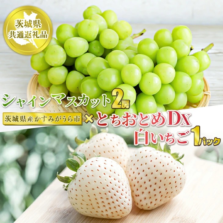 VC}XJbg2[@ƂƂDX1pbN1pbNy錧ʕԗi@݂sYzʕ  t[c }XJbg Ԃǂ uhE    ① N[ց@