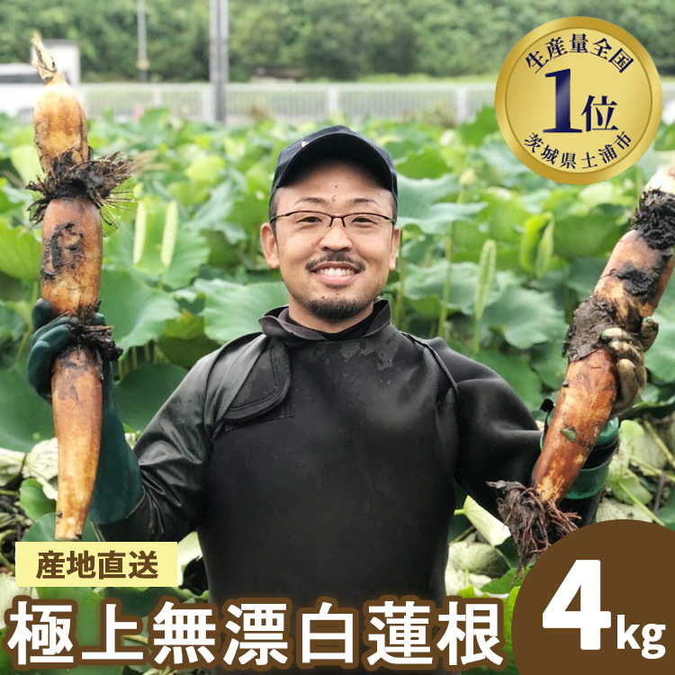 񂱂 錧Y ɏ㖳Y@4kg | 錧 @ 񂱂 R nX  VLVL Â Yn Y@ւ̔zs錧yYs13000؁Ê卪EjW