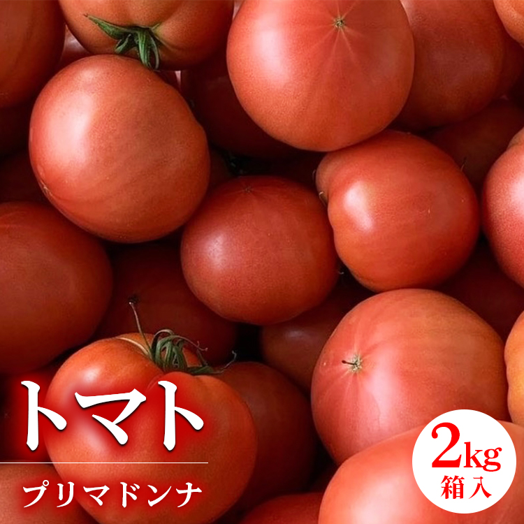 ys\zg}g v}hi MbƔl܂g}g 2kg ւ̔zs 2025N1{`6{ɏ\錧yYs6000؁Êg}g