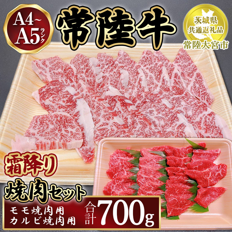 瑞穂農場で育てた常陸牛焼肉セット700g【茨城県共通返礼品 常陸大宮市】 ※離島への配送不可茨城県土浦市20000肉牛肉