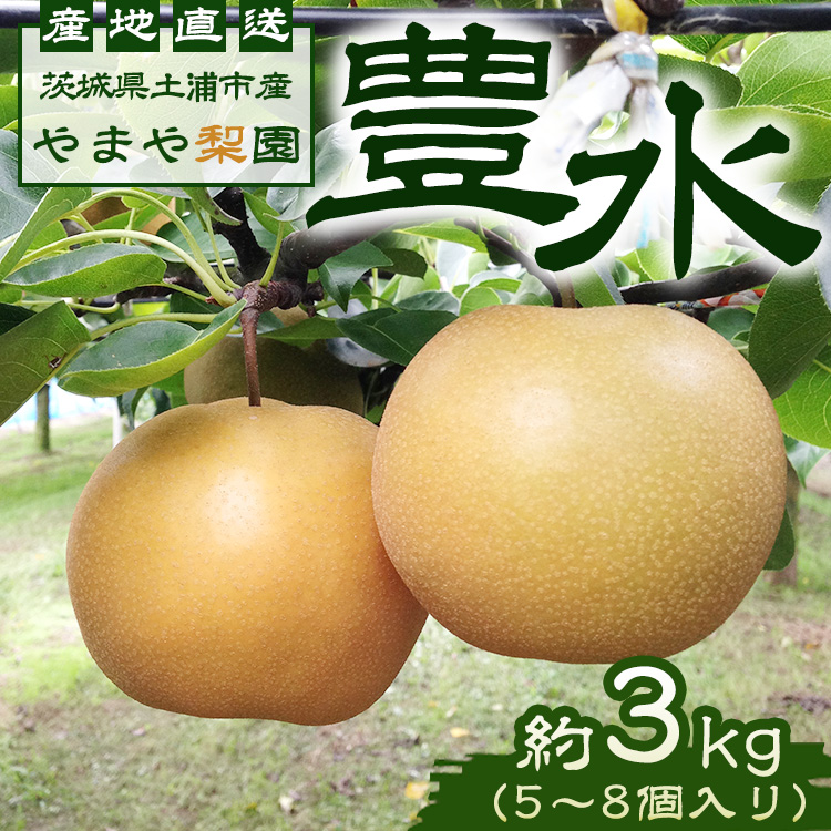 【先行予約】豊水約3kg(5〜8個入り) ※2025年8月下旬〜9月上旬頃に順次発送予定【茨城県産】 ※離島への配送不可茨城県土浦市9000果物・フルーツりんご・梨