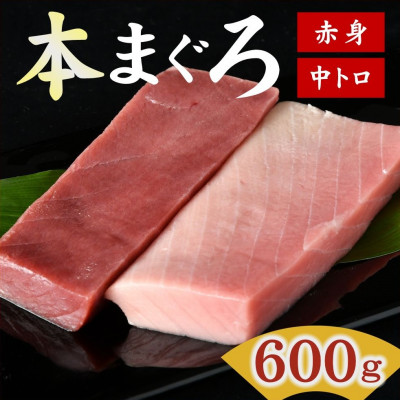 国産本まぐろ (赤身・中トロ) 短冊セット 600g以上 (150g以上×4本)【配送不可地域:離島】【1501228】三重県松阪市20000魚介・海産物鮮魚