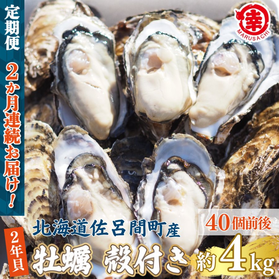 ys\zy10{珇zJL kt 2NL 4kgi40Oj CԎY m2ցn SRMA042kCCԒ38000ECYL