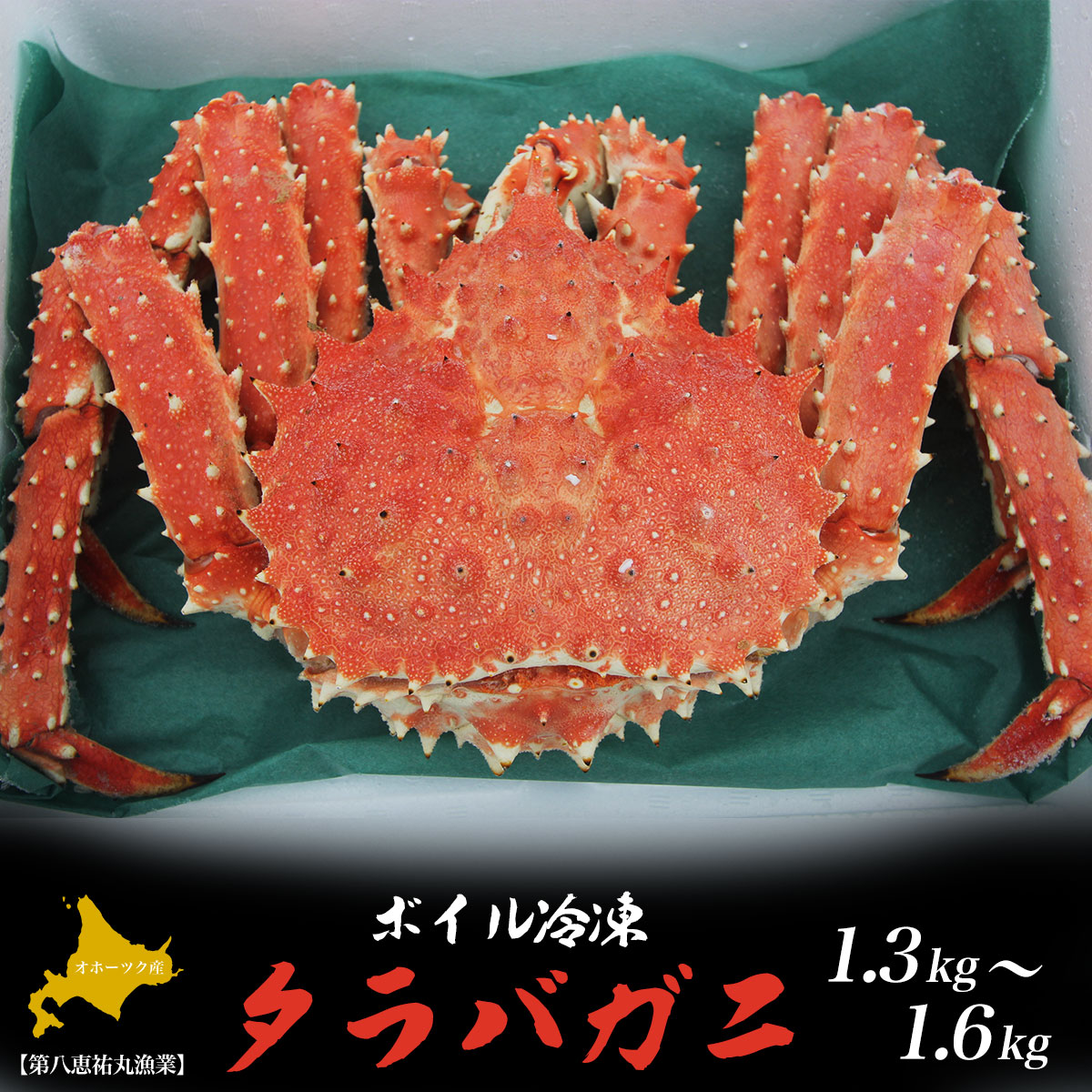 ^oKj {CⓀ 1.3`1.6kg Iz[cNY SRMN003kCCԒ38000ECYJj