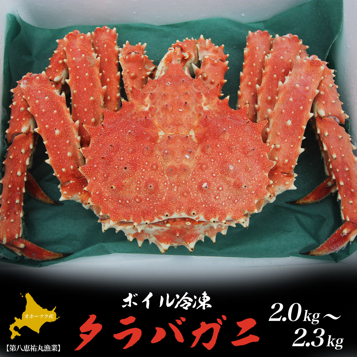 ^oKj {CⓀ 2.0`2.3kg Iz[cNY SRMN006kCCԒ61000ECYJj