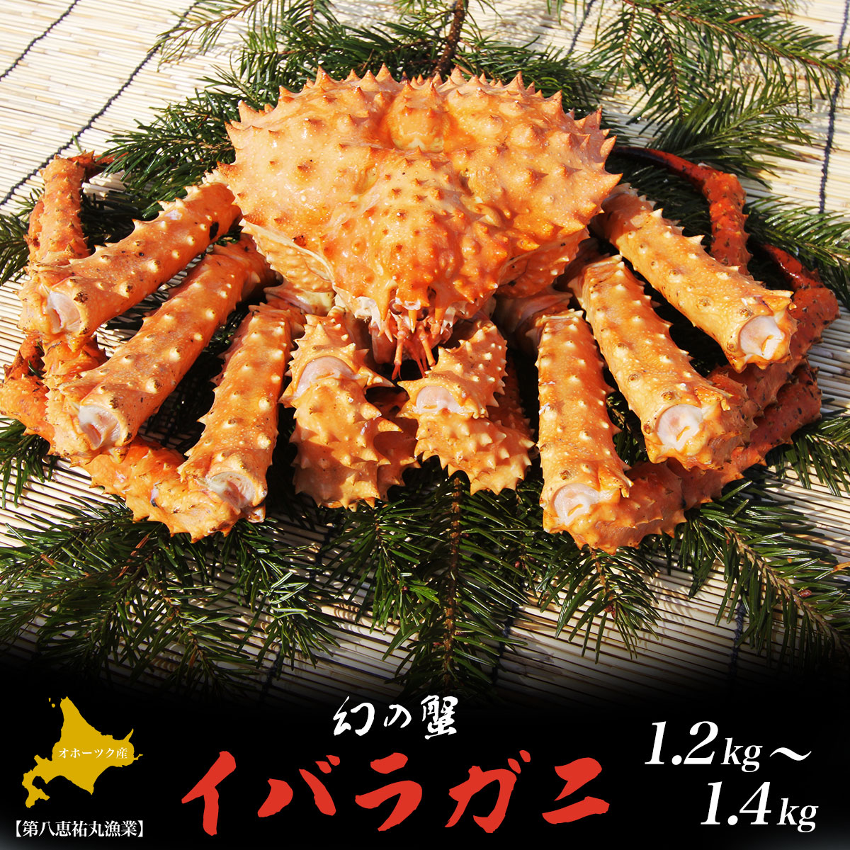 オホーツク産 幻の蟹 イバラガニ 1.2〜1.4kg SRMN013北海道佐呂間町32000魚介・海産物カニ
