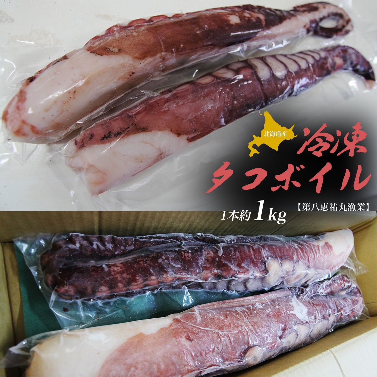 kCY Ⓚ ^R{C 1{ 1kg SRMN025kCCԒ12000ECYCJE^REEj