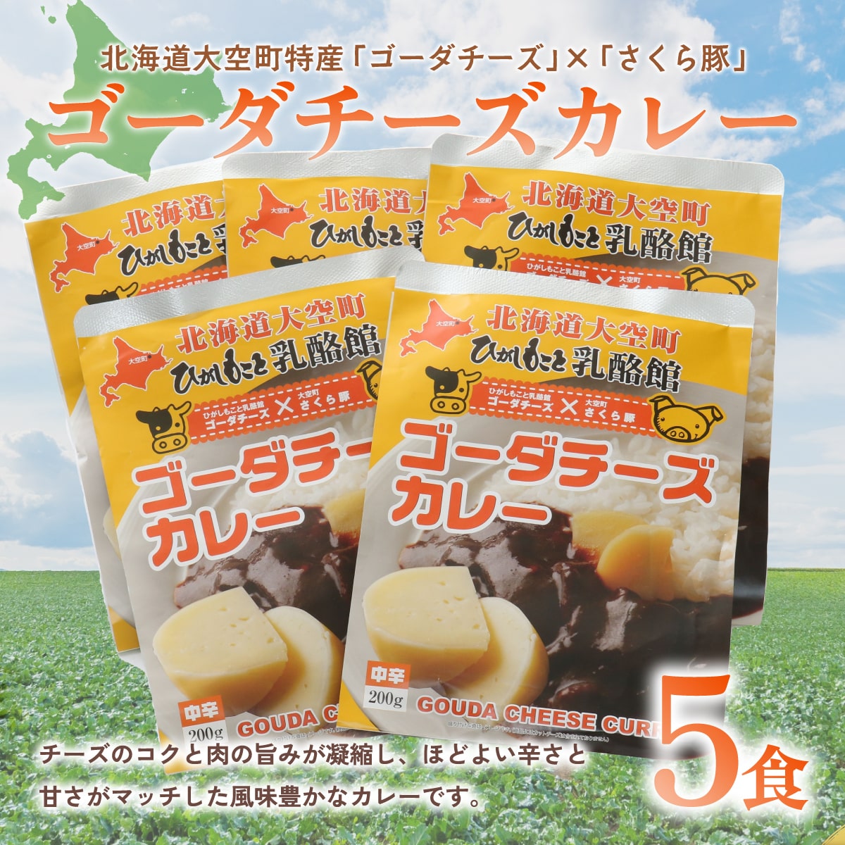 ゴーダチーズカレー200g×5食 OSA017北海道大空町15000鍋セット・総菜・加工食品カレー・シチュー