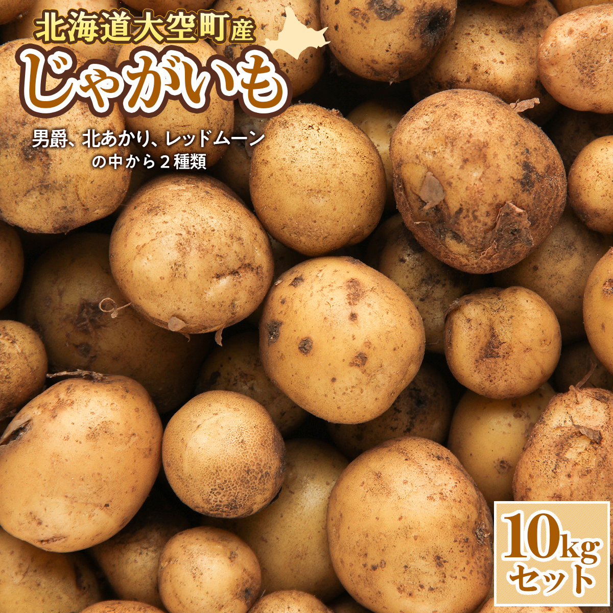 【数量限定】北海道産 じゃがいも 10kgセット 及び(込み玉、土付き) OSAA001北海道大空町10000野菜・きのこじゃがいも・イモ類