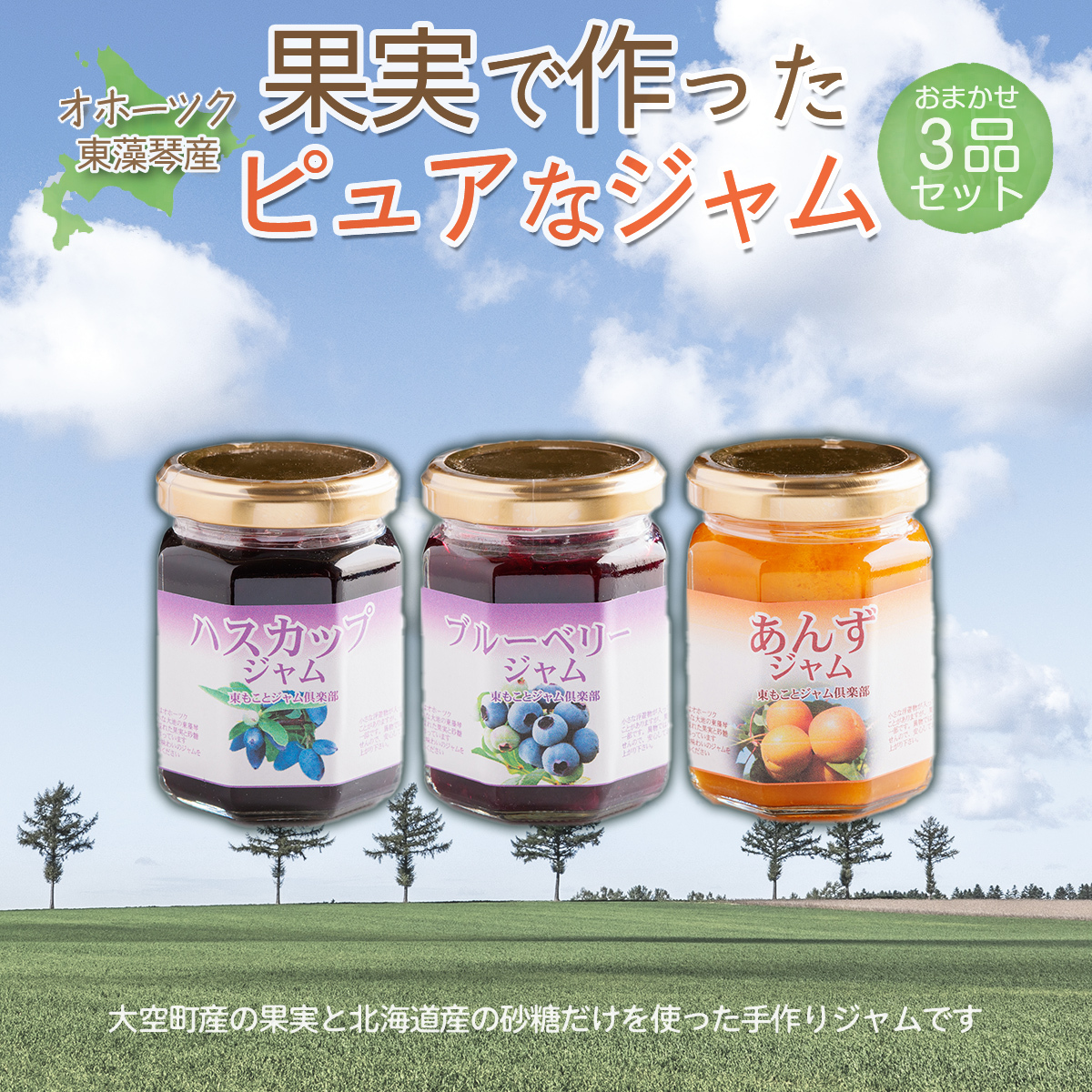オホーツク東藻琴産の果実で作ったピュアなジャム3品セット OSK002北海道大空町10000鍋セット・総菜・加工食品ジャム・はちみつ