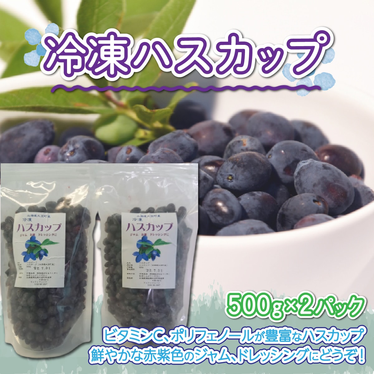 冷凍ハスカップ500g×2パック OSO001北海道大空町14000果物・フルーツ