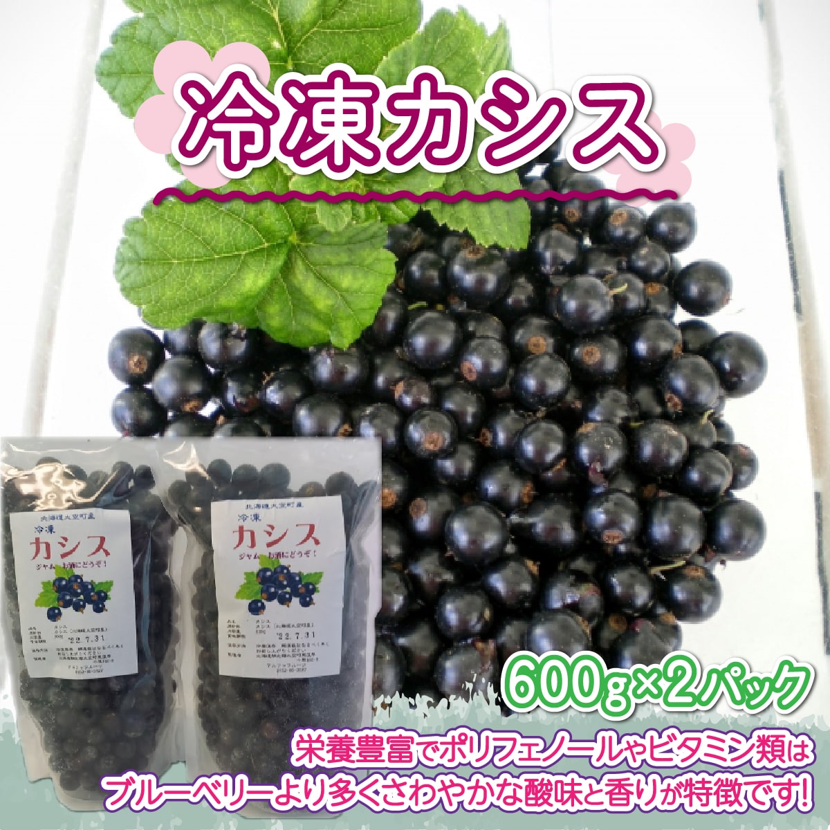 yst 2025N8{zⓀJVX600g×2pbN OSO002kC14000ʕEt[c