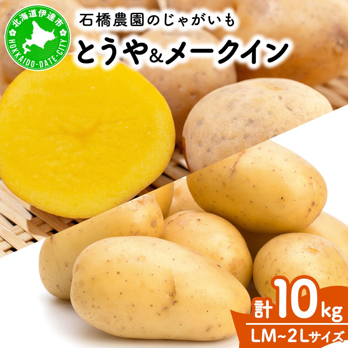 kC Ⴊ 2 Ƃ [NC Hה Zbg e5kg v10kg LM`2L TCY st n鏒 gE CNC[ |eg C  _앨 Yny55250519zkCɒBs10000