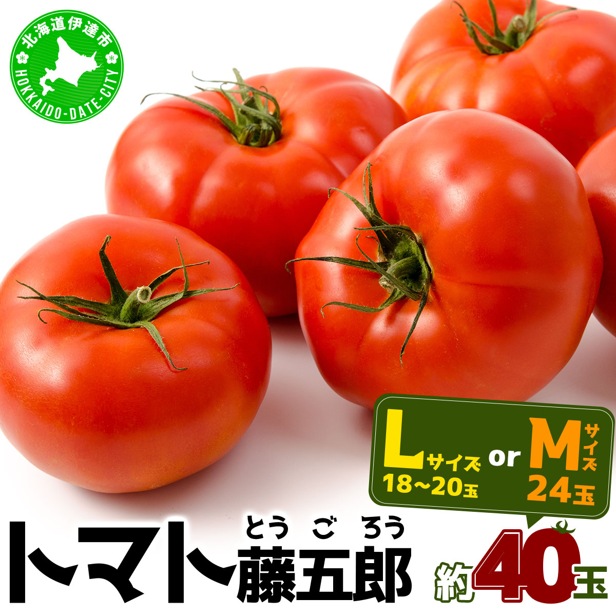 y2026N  z s\ kC ɒB g}g ܘY   40  M ` L TCY Ƃ܂ VN W[V[ Yny55250526zkCɒBs13000؁Êg}g