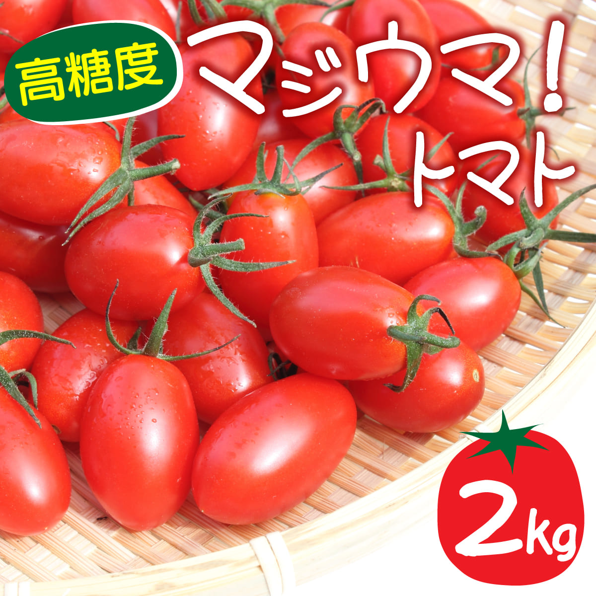 【2026年先行予約】北海道 伊達 岡本園芸 ミニトマト 高糖度 約2kg【マジウマ!トマト】【55250781】北海道伊達市11000野菜・きのこトマト