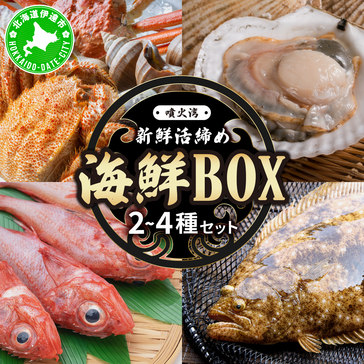 北海道 伊達 噴火湾 水揚げ 今野水産 新鮮 活締め 海鮮 BOX 2〜4種セット【55250785】北海道伊達市15000魚介・海産物鮮魚