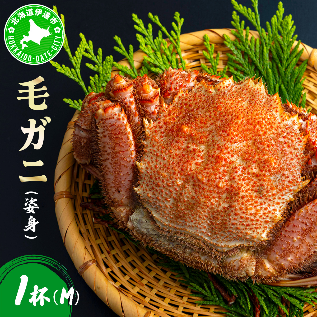 毛ガニ(姿身)Mサイズ 1尾北海道伊達市25000魚介・海産物カニ