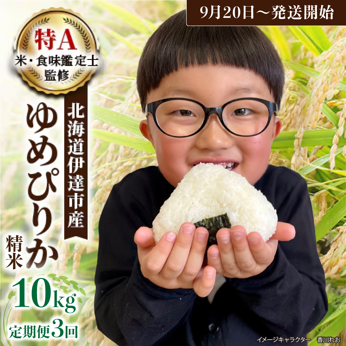 生産者 直送 3ヵ月 定期便【令和7年度】 北海道 伊達産 ゆめぴりか 10kg 精米【お米10kg〜15kg未満】特集【tkk-015_03】北海道伊達市87000米・パン白米