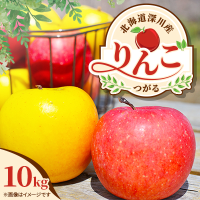 【令和7年産先行受付】北海道深川産りんご(つがる)10kg【ふるさと納税】【配送不可地域:離島】【1298286】北海道深川市16000果物・フルーツりんご・梨