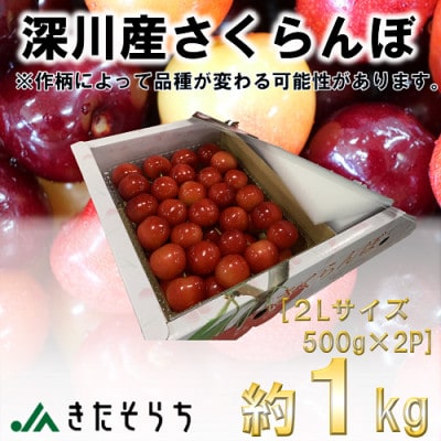 yߘa6NYstzkC[Y(2LTCYE500g×2pbN)yzsnFEzy1436796zkC[s15000ʕEt[c