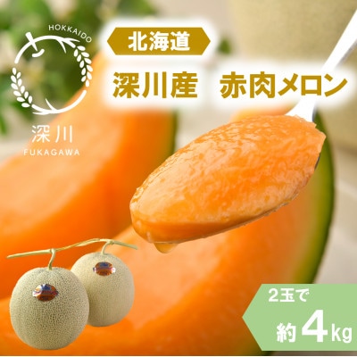 メロン 山形県産（JA鶴岡） JA鶴岡 庄内砂丘メロン 赤・青セット