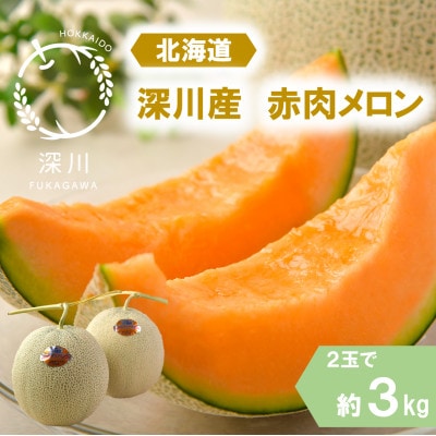 〈令和7年産〉〈先行受付〉北海道産北斗メロン(赤肉メロン) 優品または秀品・2玉入(約3kg)【1436845】北海道深川市10000果物・フルーツメロン・スイカ