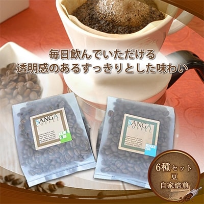 サンガコーヒー〈豆〉100g×6種【1070089】長野県御代田町17000お茶・飲料コーヒー・紅茶
