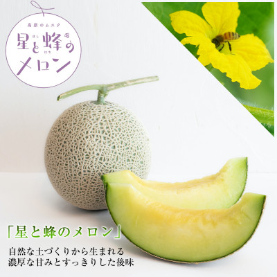 【令和8年度産先行受付】星と蜂のメロン Lサイズ2玉【配送不可地域:離島】【1099062】長野県御代田町40000果物・フルーツメロン・スイカ