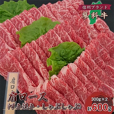 y[XĂԂԗpzMBȋ̌I(300g×2pbN)cÉzqYyzsnFzy1297041z쌧c20000