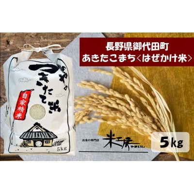 【令和4年産/はぜかけ米】長野県御代田町産あきたこまち精米5kg【1381347】長野県御代田町8000米・パン白米