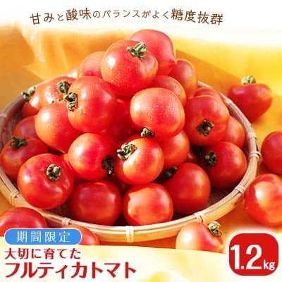 Ԍ@؂ɈĂteBJg}g1.2kgyzsnFzy1106299z茧Ys9000؁Êg}g
