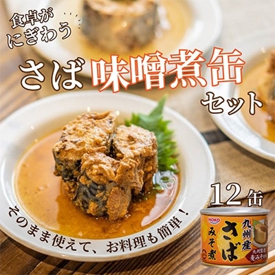 さば味噌煮缶セット(12缶)【配送不可地域:離島】【1122679】長崎県松浦市12000魚介・海産物その他 魚介・海産物