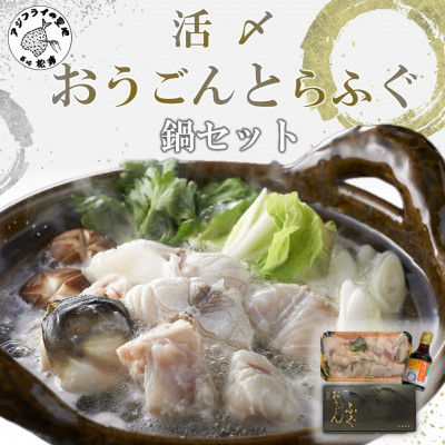 YƂӂZbgyzsnFzy1219480z茧Ys19000ECYN