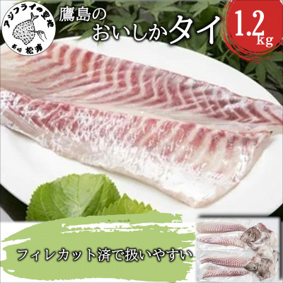 鷹島のおいしかタイ(1.2kg)【配送不可地域:離島】【1227265】長崎県松浦市15000魚介・海産物鮮魚