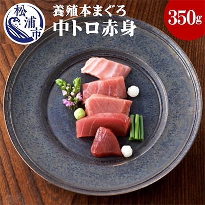 鷹島産本まぐろ 中トロ赤身合わせて350g まぐろ丼のタレ付き【配送不可地域:離島】【1231831】長崎県松浦市14000魚介・海産物鮮魚