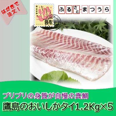 ͂I[_[Ch!铇̂1.2kg×5yzsnFzy1242725z茧Ys80000ECYN