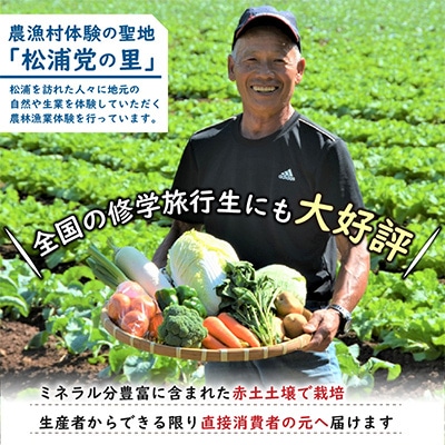 農漁村体験の聖地「松浦党の里」旬の野菜セット【配送不可地域:離島】【1259033】長崎県松浦市11000菓子・スイーツその他 洋菓子