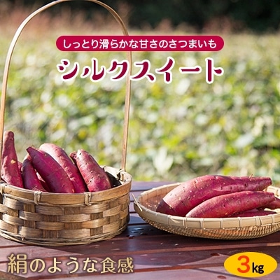 しっとり滑らかな甘さのさつまいも「シルクスイート」3kg【1264395】長崎県松浦市6000野菜・きのこじゃがいも・イモ類