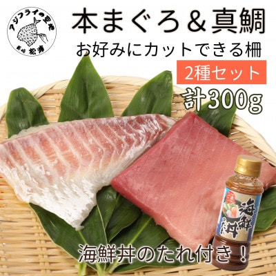 海鮮丼のたれ付!長崎県産本まぐろ&ハーブ仕立ての真鯛 柵セット2種300g【配送不可地域:離島】【1429230】長崎県松浦市12000魚介・海産物鮮魚