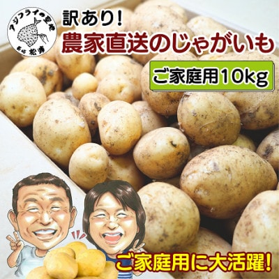 訳あり!ご家庭用に大活躍!農家直送の新じゃが 10kg【1456174】長崎県松浦市10000野菜・きのこじゃがいも・イモ類