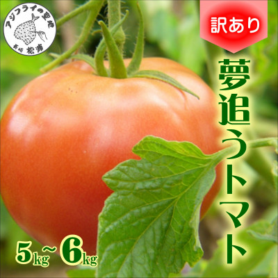 󂠂!ƒpɑ劈@ǂg}g5kg`6kgyzsnFzy1519054z茧Ys10000؁Êg}g