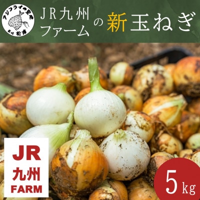 JR九州ファームの新玉ねぎ 5kg【1578340】長崎県松浦市10000野菜・きのこ玉ねぎ・ねぎ