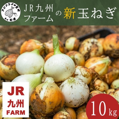 JR九州ファームの新玉ねぎ 10kg【1578373】長崎県松浦市17000野菜・きのこ玉ねぎ・ねぎ