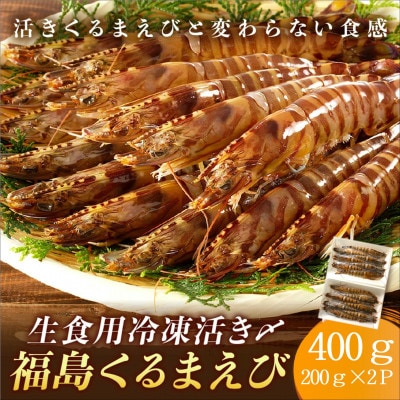 生食用 瞬間冷凍活き〆福島くるまえび(200g×2P)【配送不可地域:離島】【1581138】長崎県松浦市13000魚介・海産物エビ