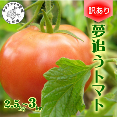 󂠂!ƒpɑ劈@ǂg}g2.5kg`3kgyzsnFzy1626086z茧Ys7000؁Êg}g