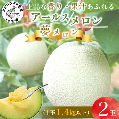 大玉アールスメロン 夢メロン2玉(1玉1.4kg以上)【配送不可地域:離島】【1633685】長崎県松浦市10000果物・フルーツメロン・スイカ