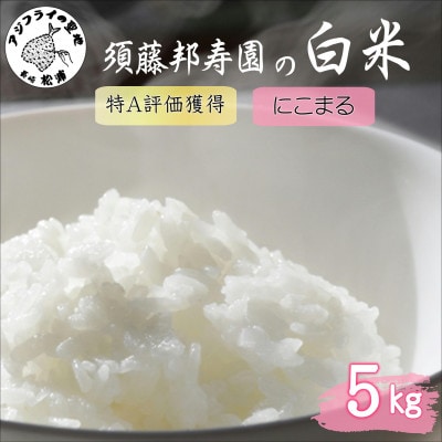 須藤邦寿園の白米 通算9回特A獲得米 にこまる 5kg【1659252】長崎県松浦市15000米・パン白米