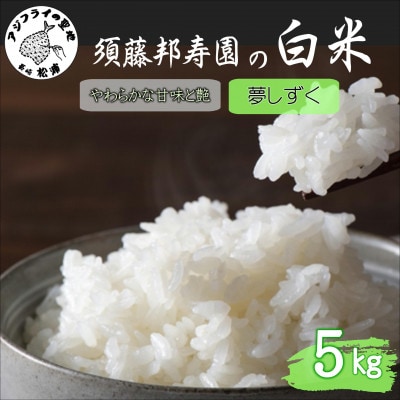 須藤邦寿園の白米 夢しずく 5kg【1659259】長崎県松浦市15000米・パン白米