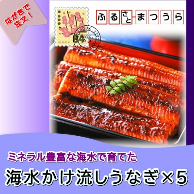͂I[_[Ch!CȂ@3×5y1662206z茧Ys135000ECYȂ